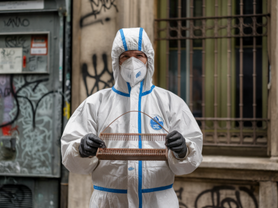 Deratisation lyon : ronde-deratisation contre rats, souris, guepes